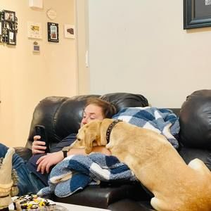 Meet your Posher, Justin